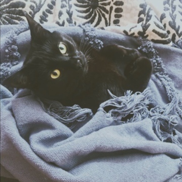 Meet your Posher, Crystal - Picture 3 of 4